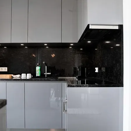 Lux 1br King Bed, Balcony, Near Center Daire